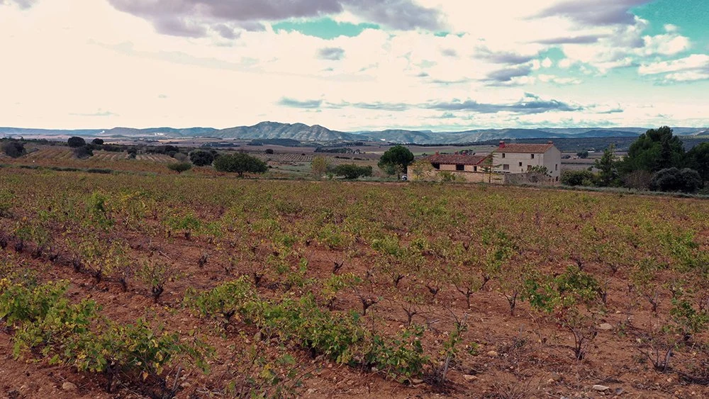 Bodegas Rafael Cambra