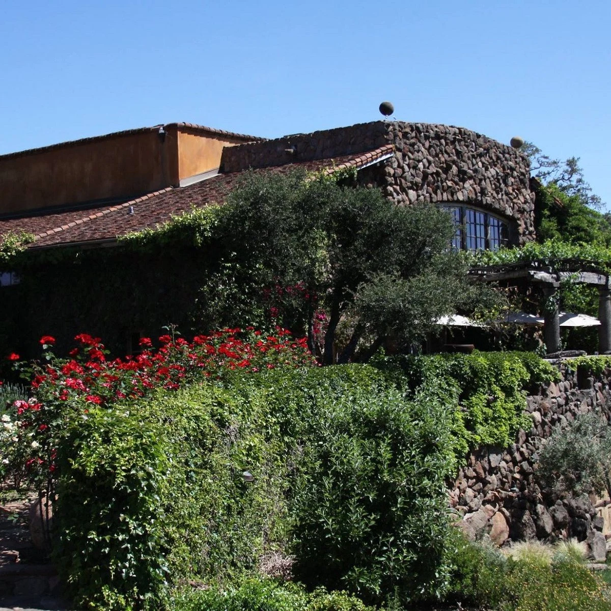 William Harrison Vineyards