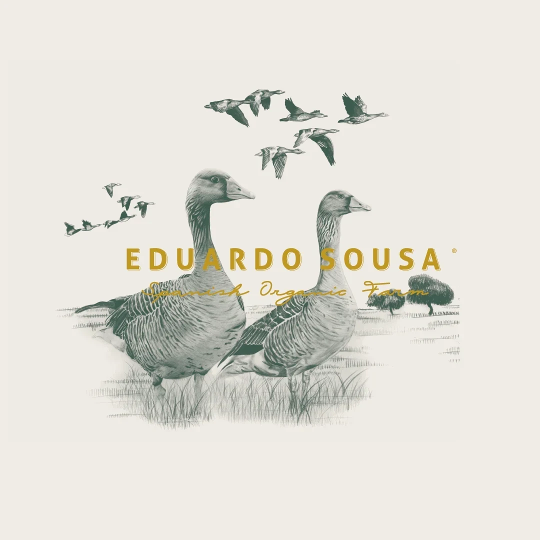 Eduardo Sousa