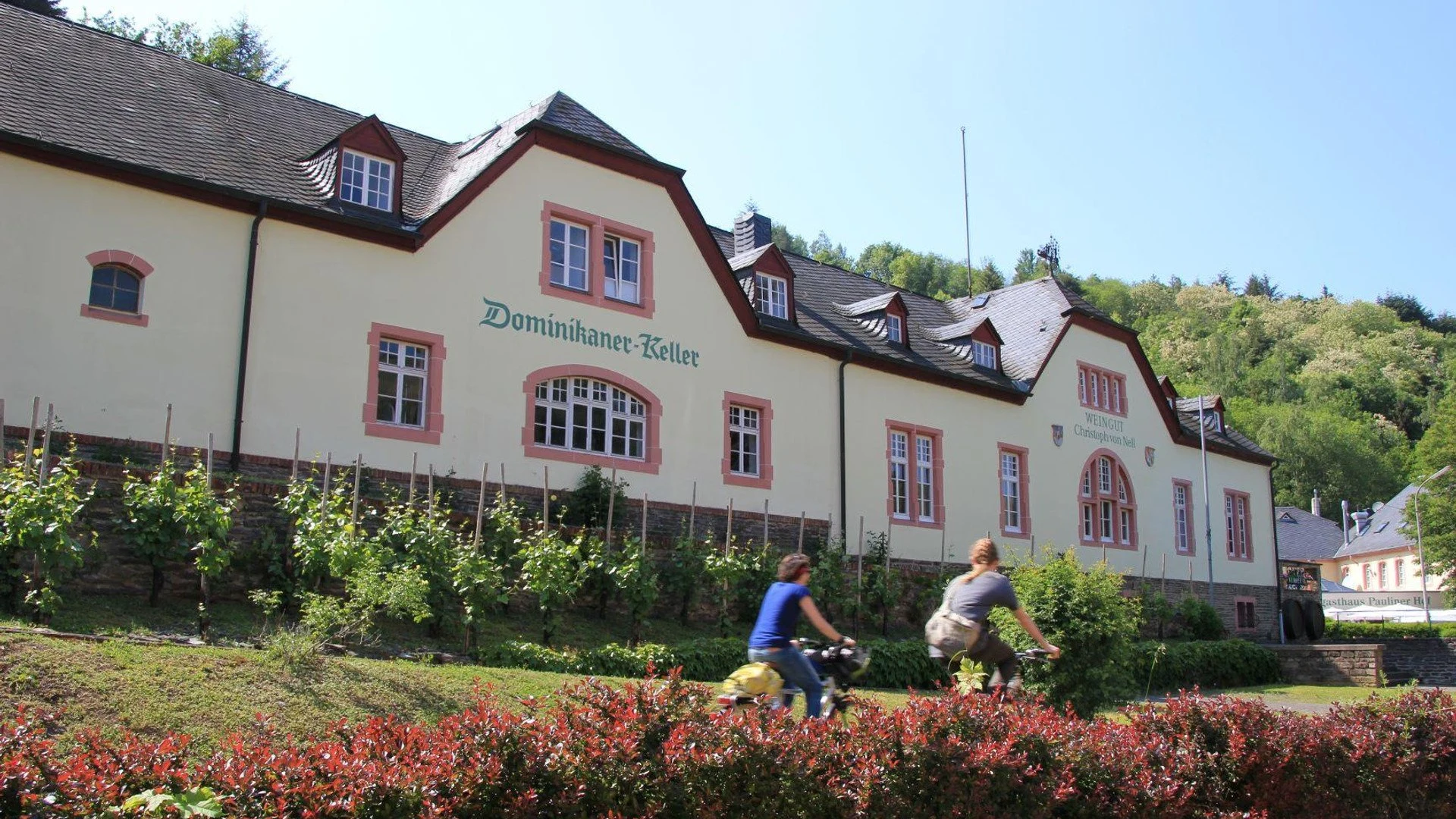 Dominikaner Weingut C. von Nell-Breuning
