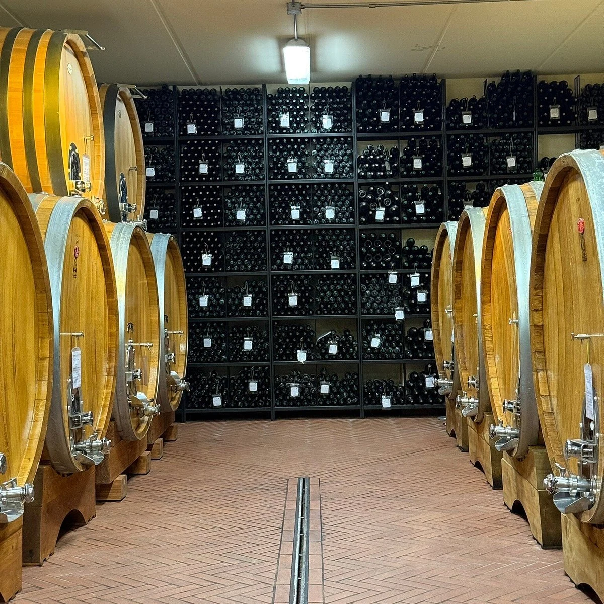 Azienda Agricola Josetta Saffirio