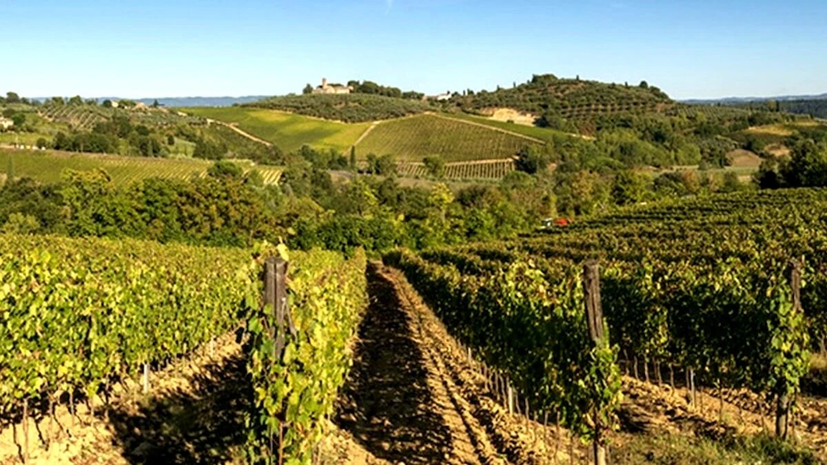 Il Colombaio di Santa Chiara