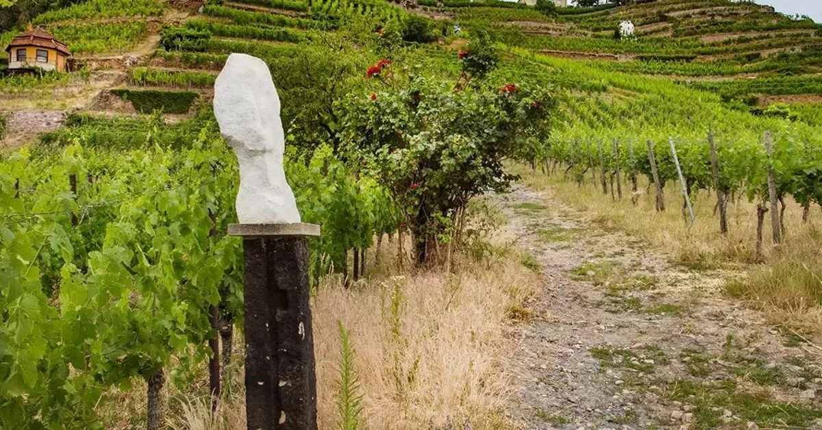 Weingut Drei Herren