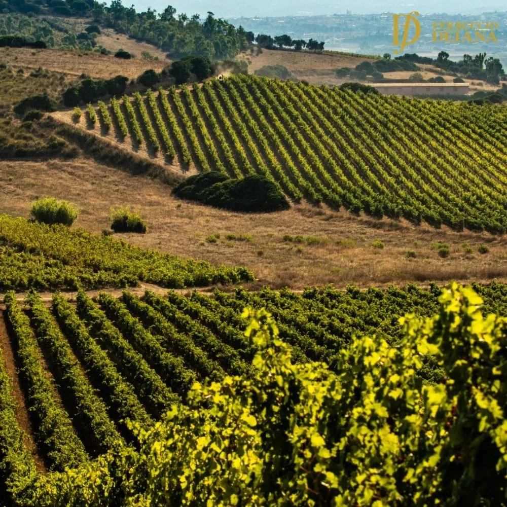 Azienda Vitivinicola Ferruccio Deiana